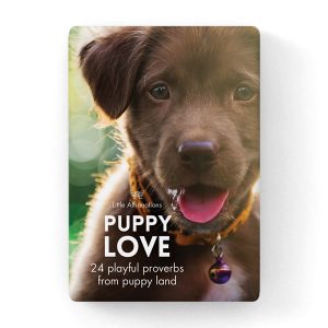 Puppy Love - Little Affirmations Boxed Quotations