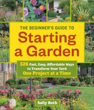 Beginners Guide To Starting A Garden