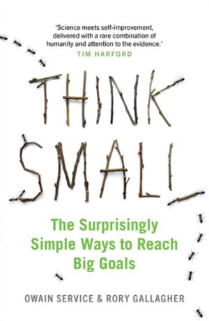 Think Small - The Surprisingly Simple Ways To Reach Big Goals